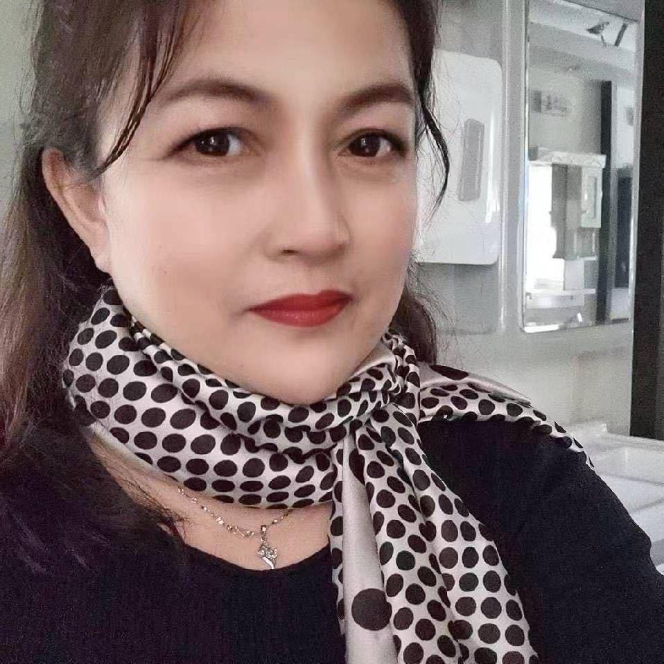 南飞的燕