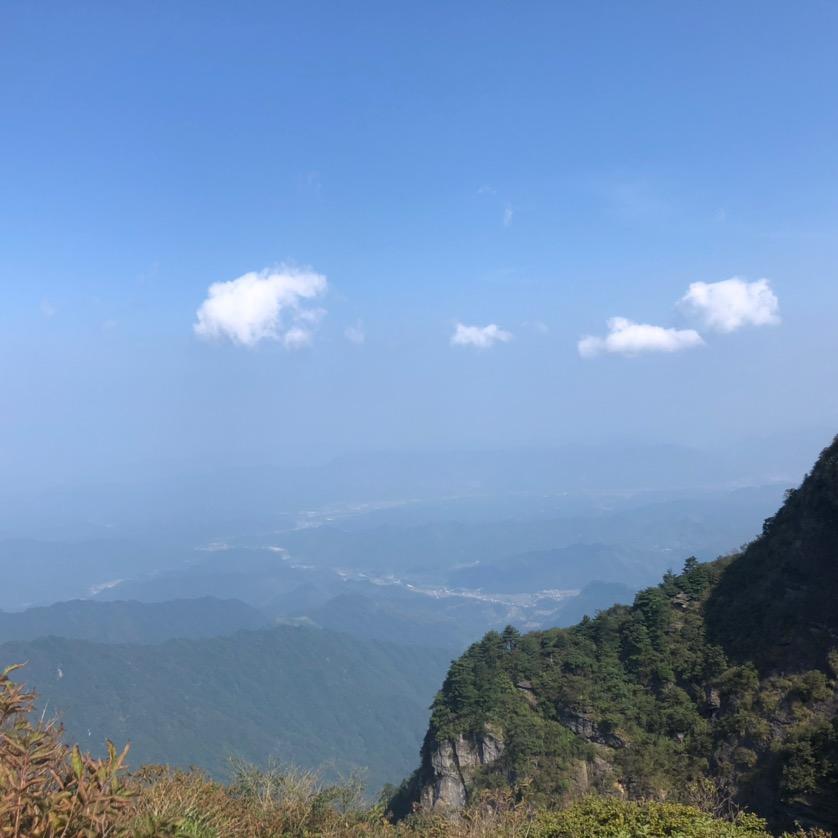 快乐的小野兽