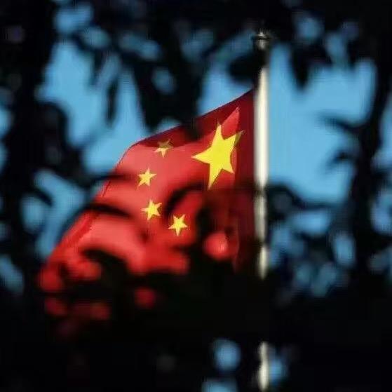 龙班长
