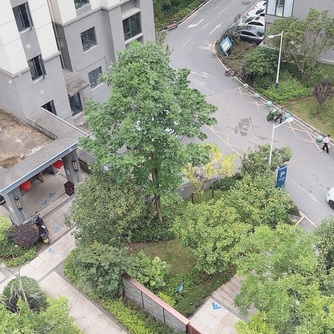 瑞农土特产精选