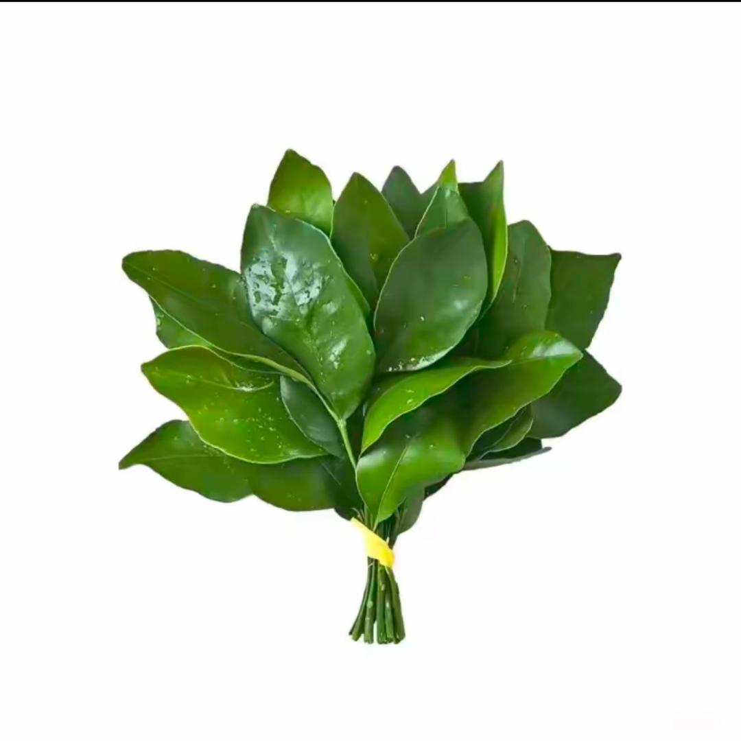 玲玲仙女🧚‍♀️