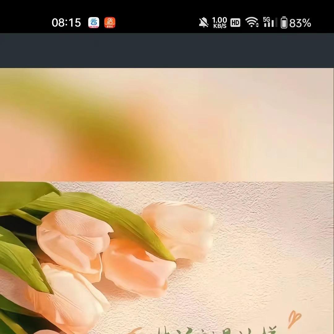 发瑞假发辅料