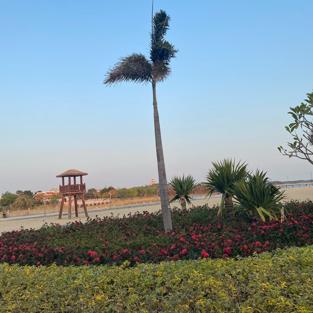 雅思《商品橱窗》