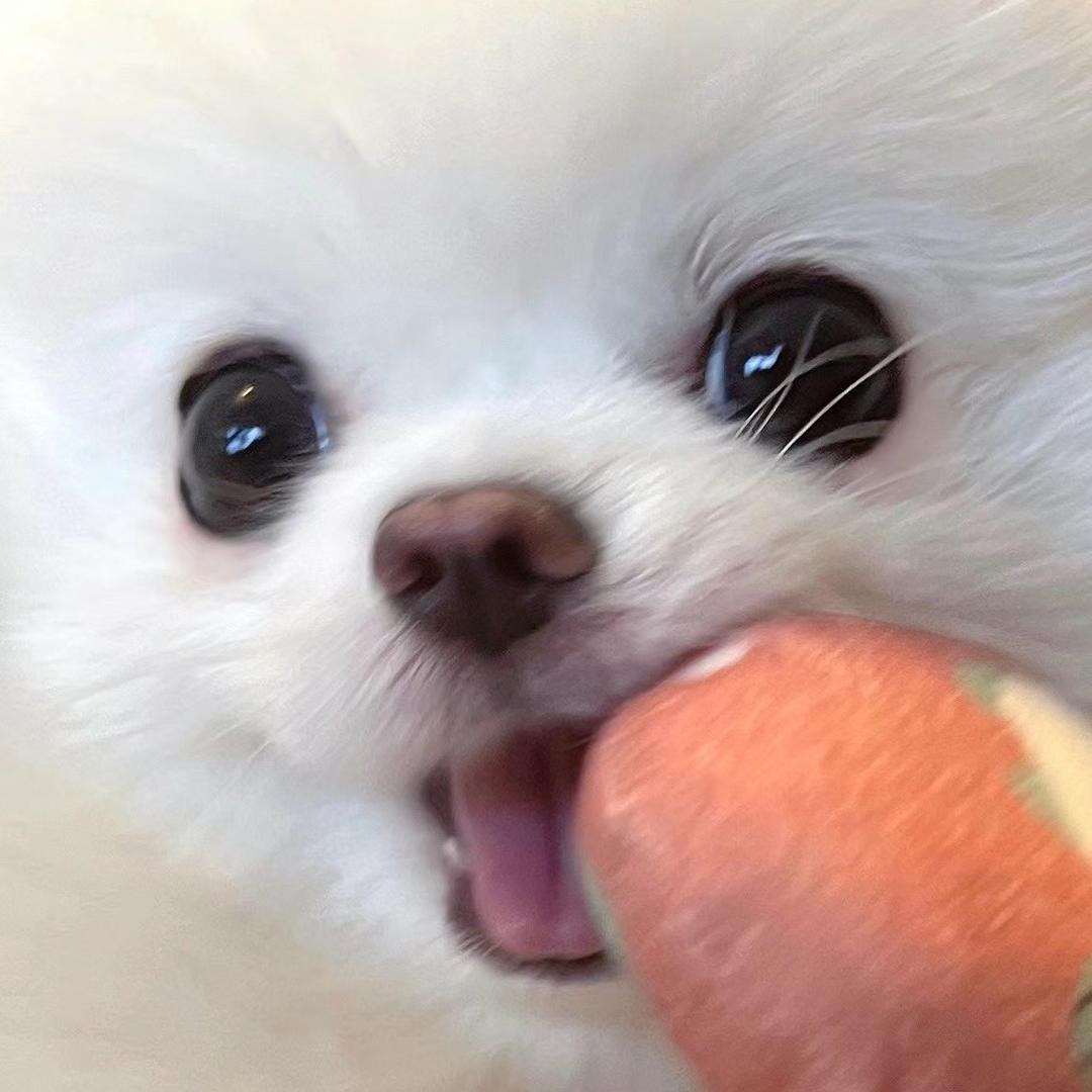 薯条大王