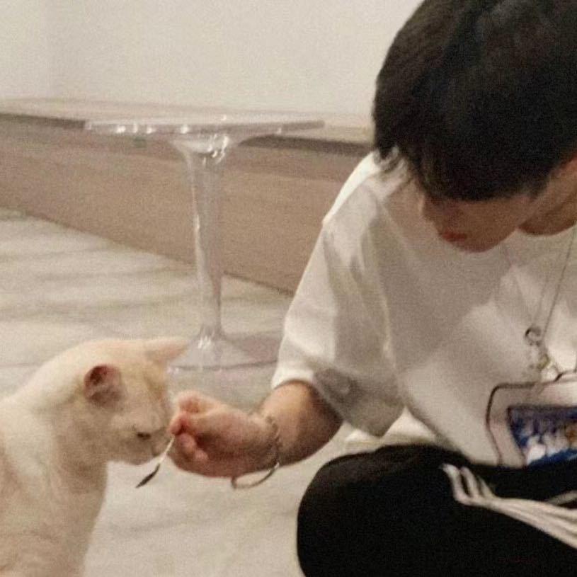 花脸猫猫猫