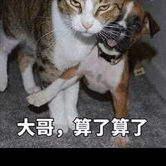 喵了个咪的？