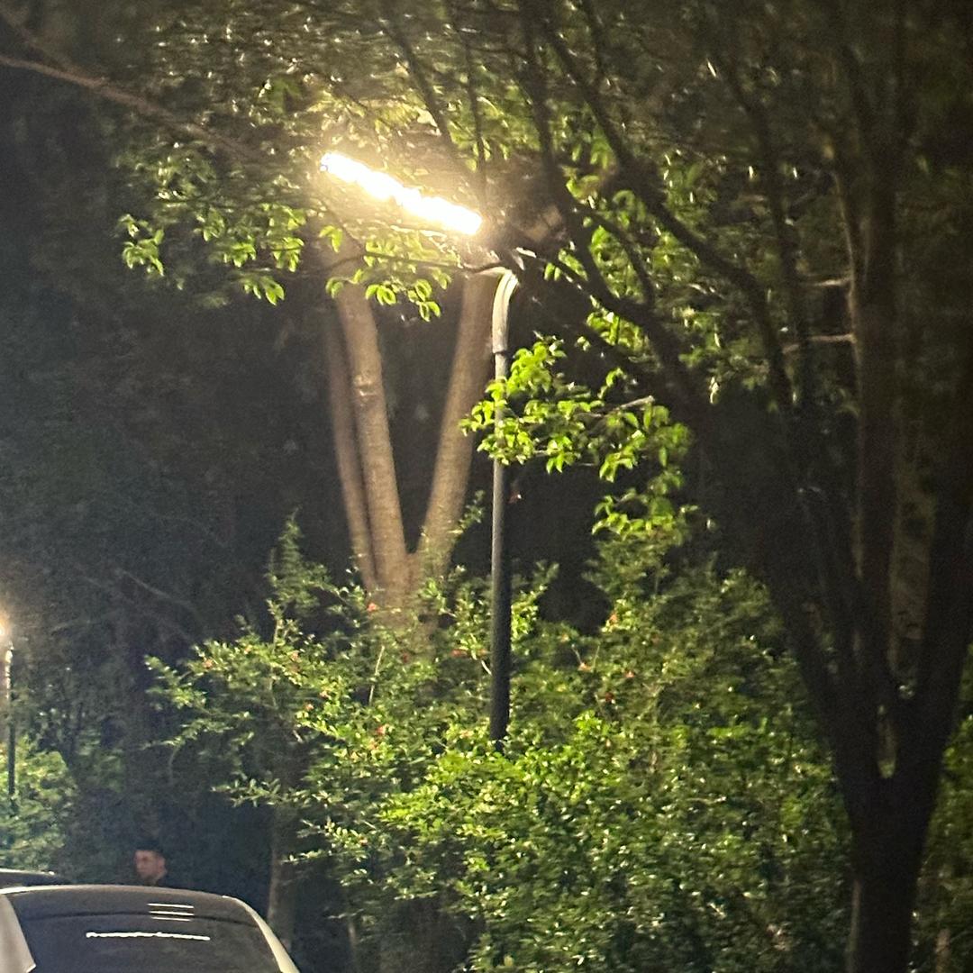 和其光 同其尘tt