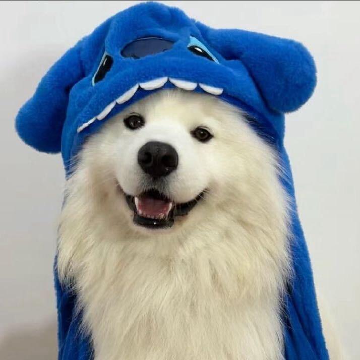 榆木