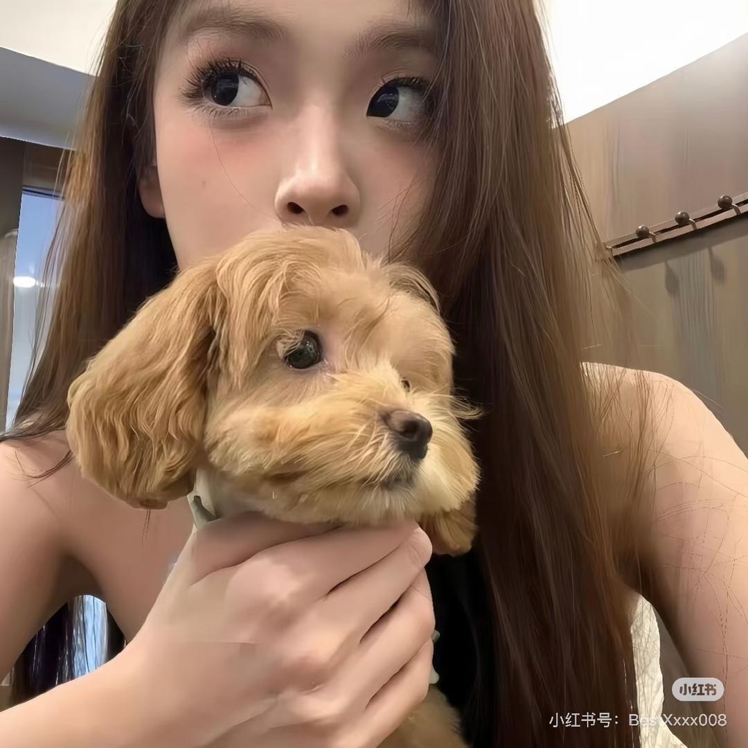 鲧鲧