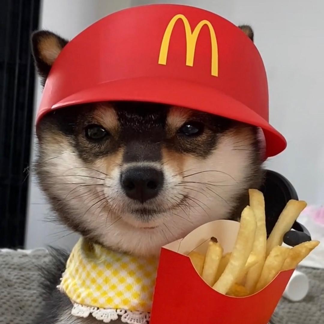 -呲恩是个爱哭鬼-