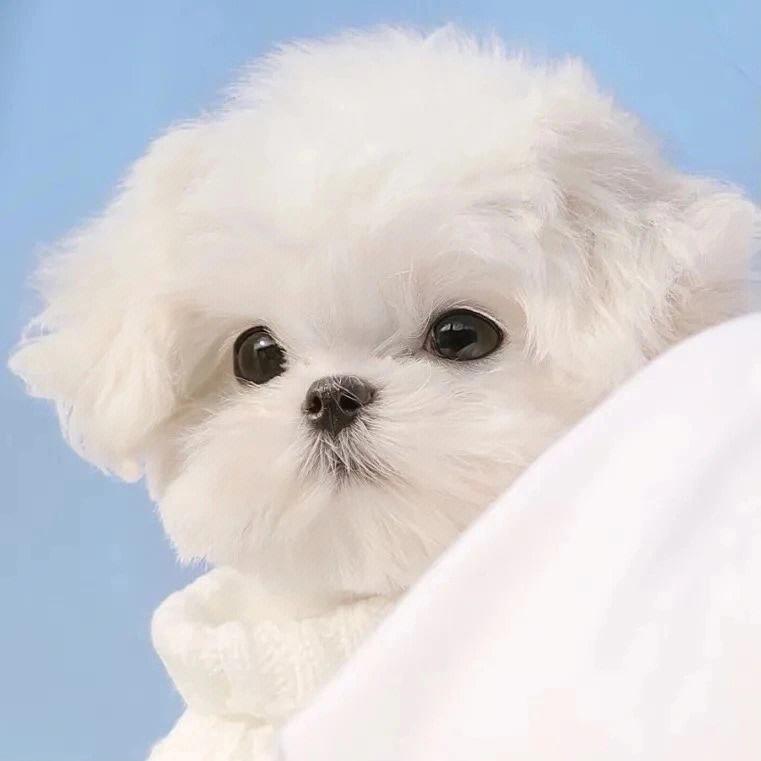 啊啊啊啊五环～