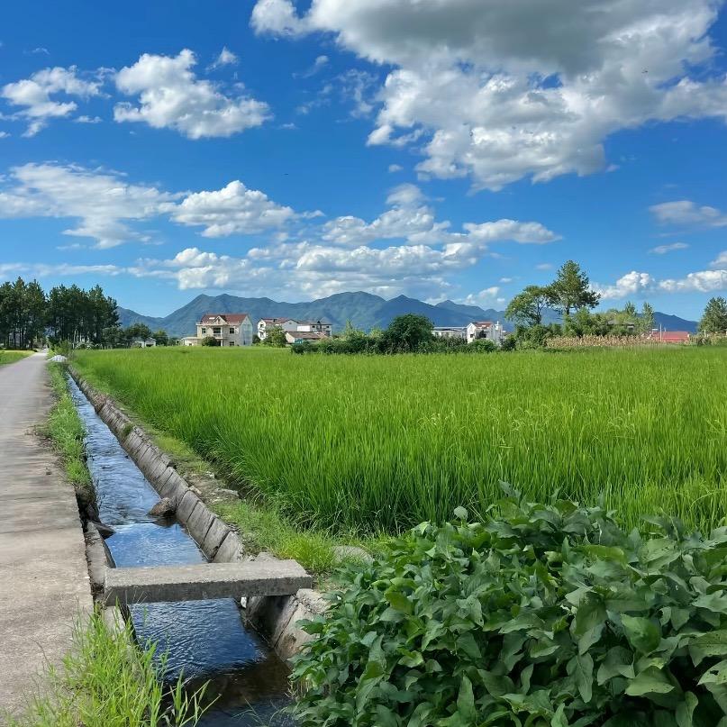 晓晓在农村