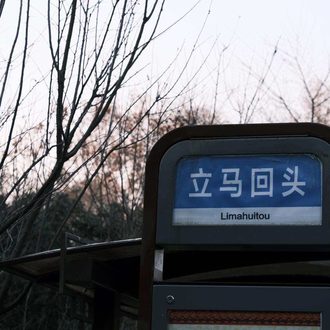 爱吃薯条的鳕鱼堡