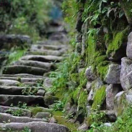 财神爷的心尖尖