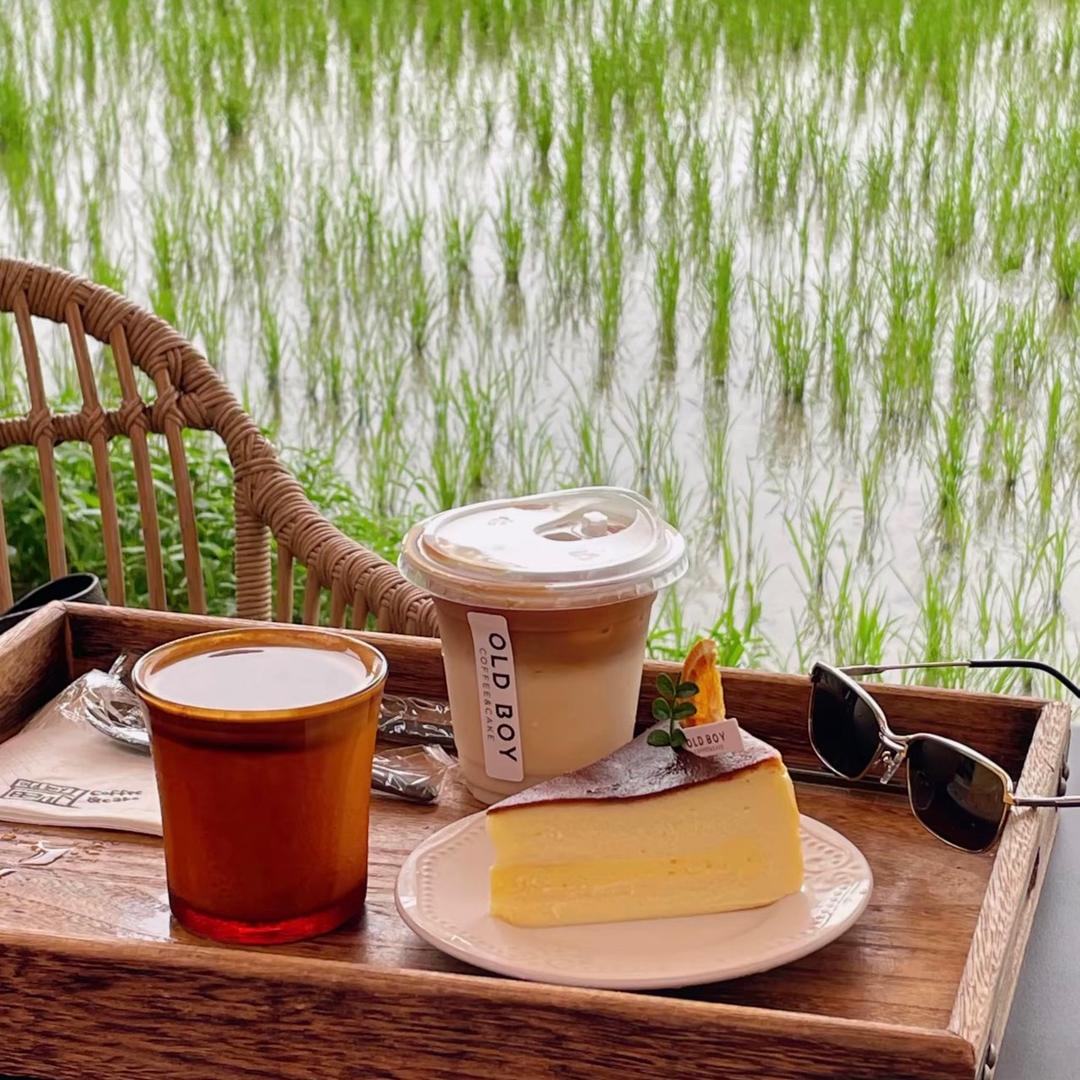 🌼🌼牛奶冻（孕中期）