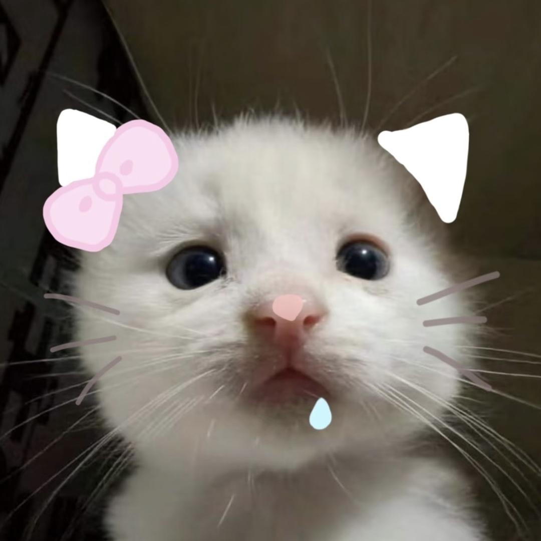 平方咪