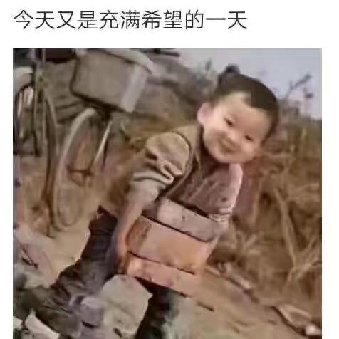仙琪家庭农厂