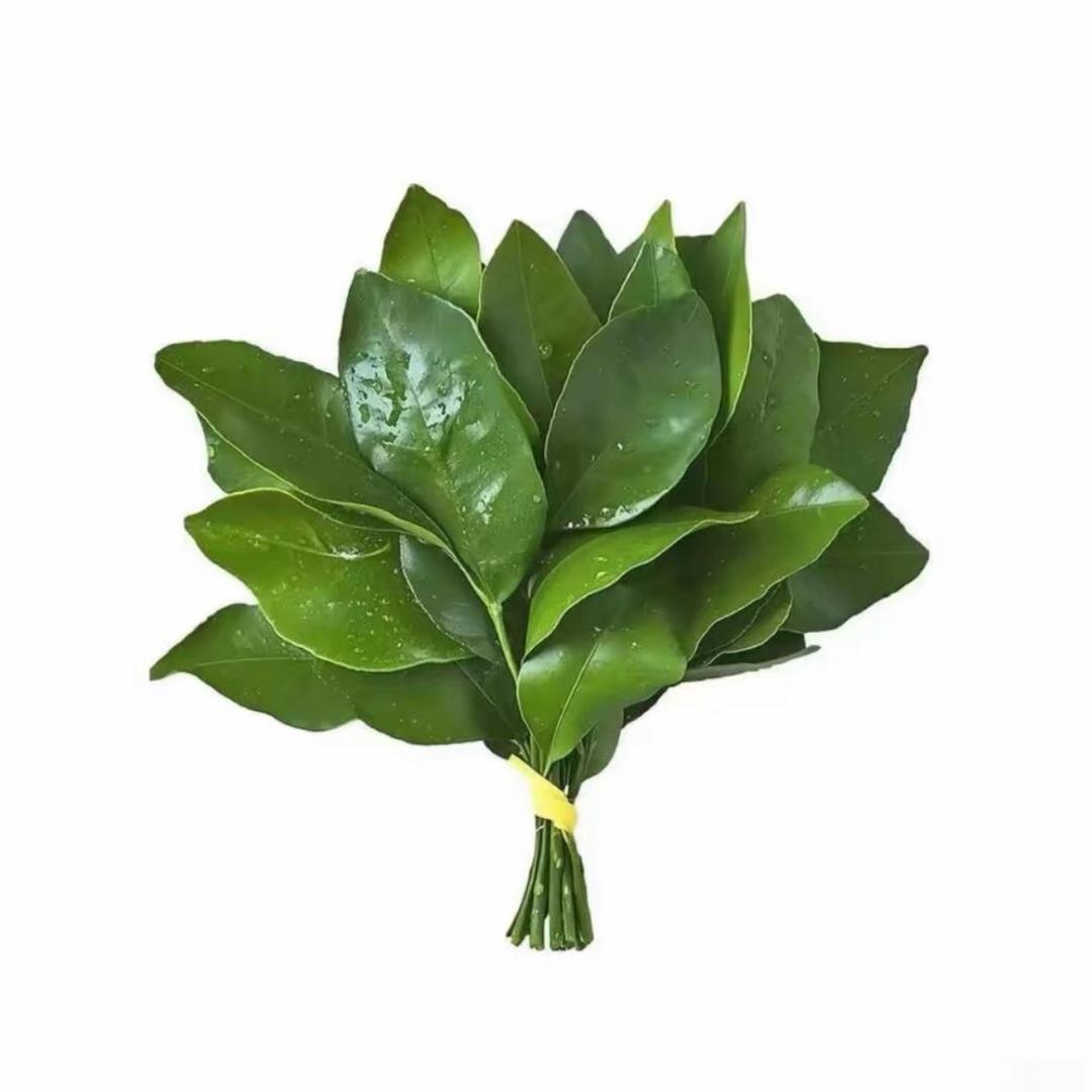 陈有有（必发财版）