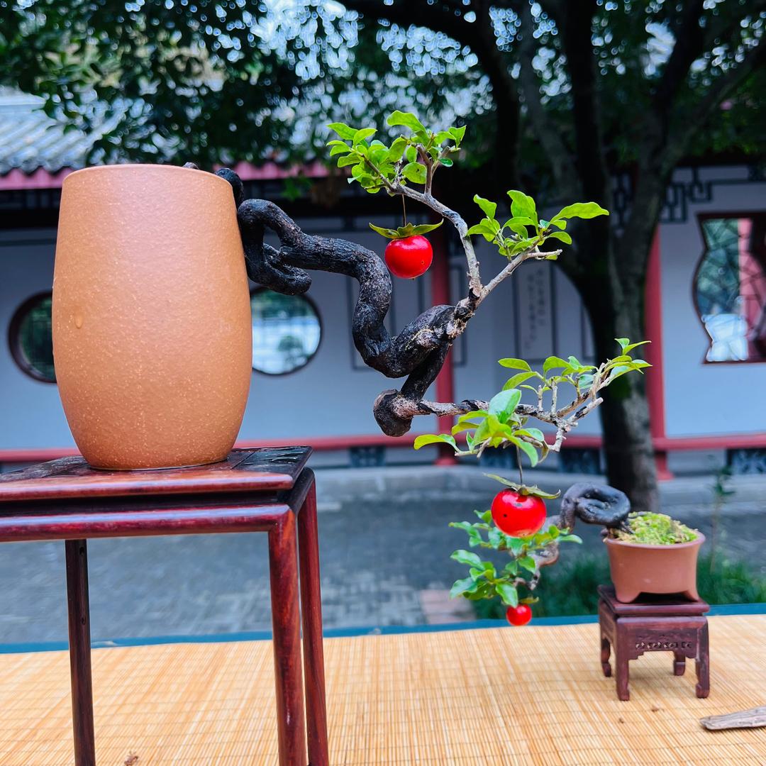 金弹子小师妹