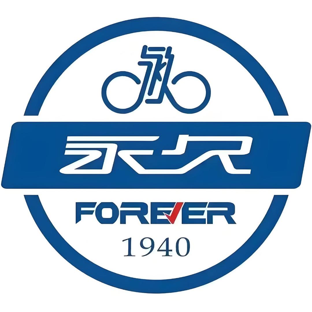 永久电动车品牌店