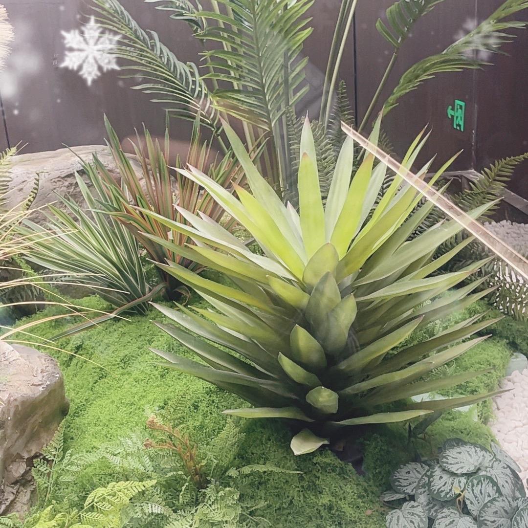 拾叁访影院沐足莉莉