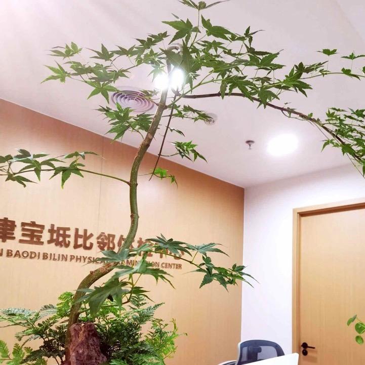 比邻健康