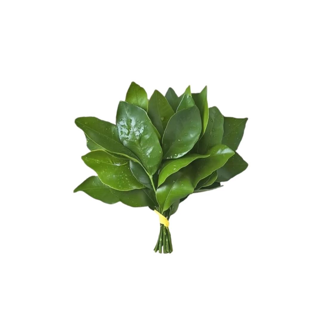七安