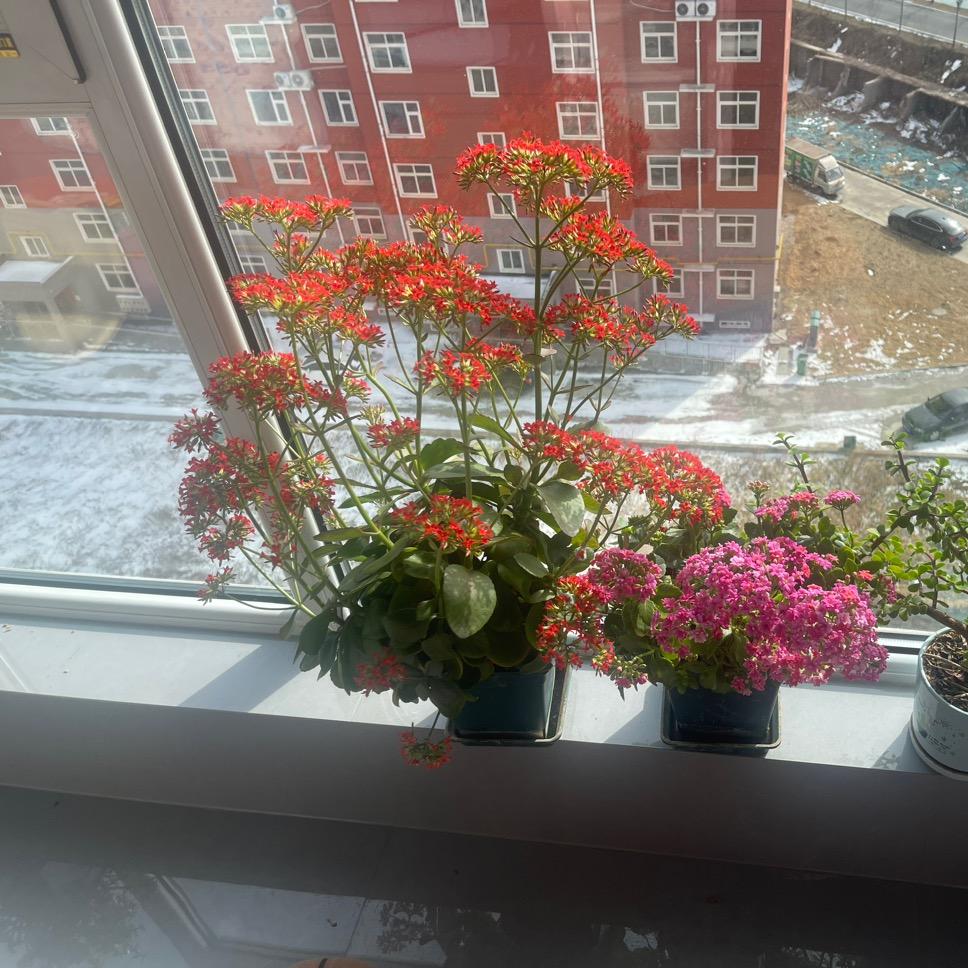 安阳安浩园林工程有限公司