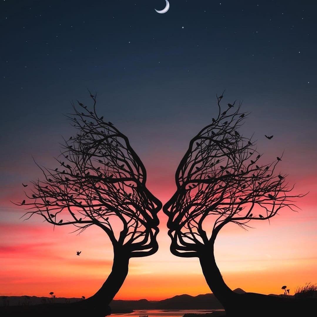 💫贝塔💫