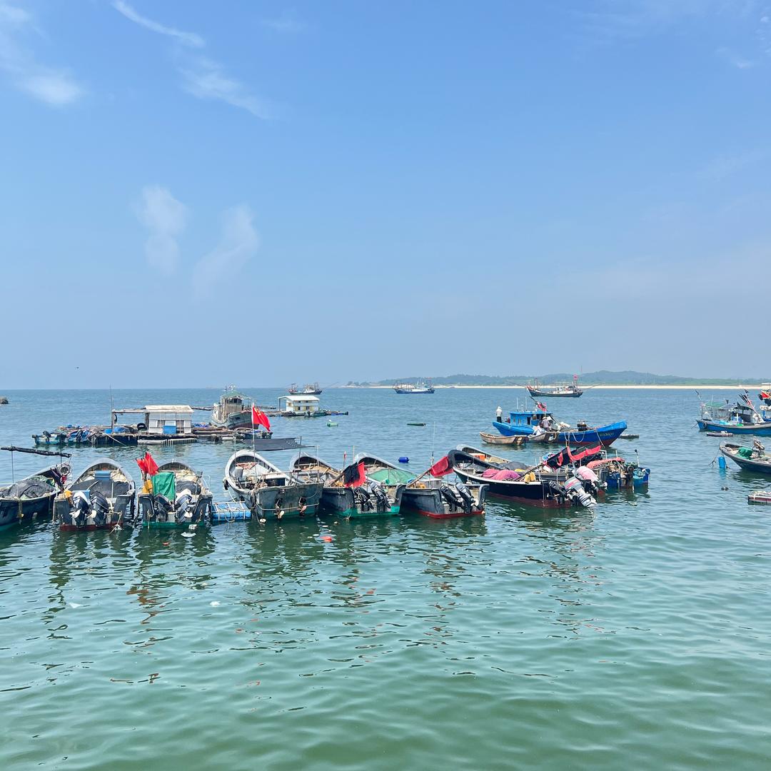 粤海领鲜(红海湾渔)