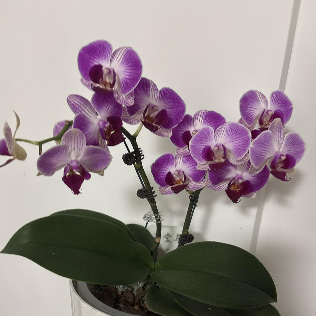 开❤最重要