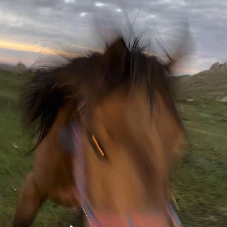951A