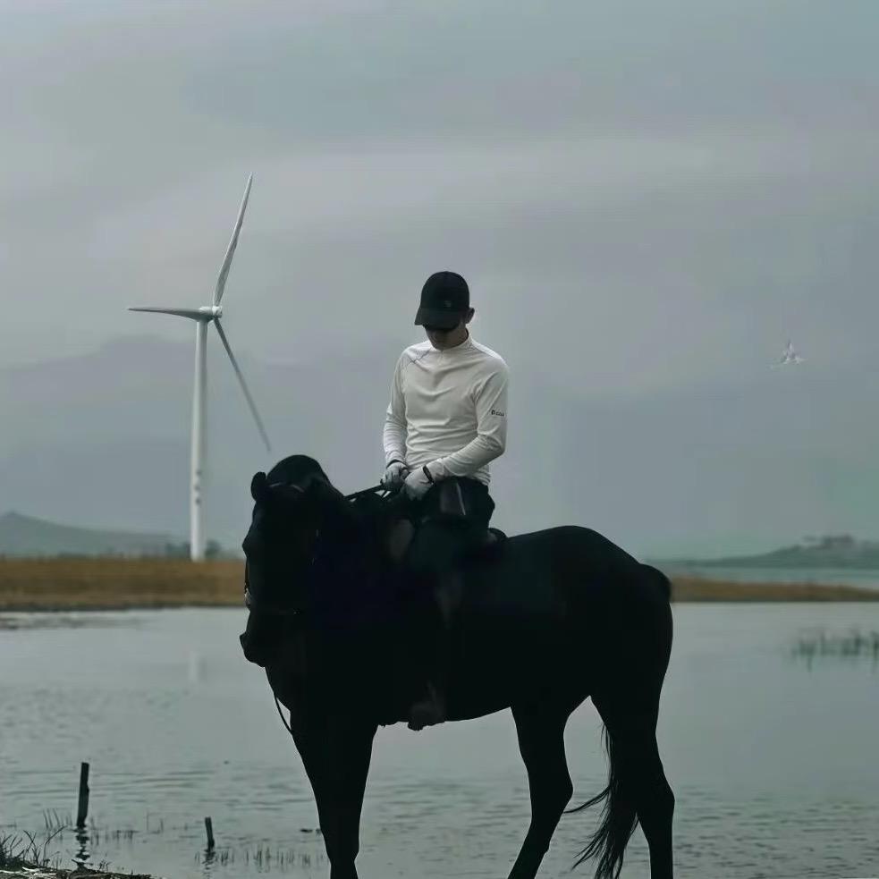 鹿港桐朗—马HUA腾