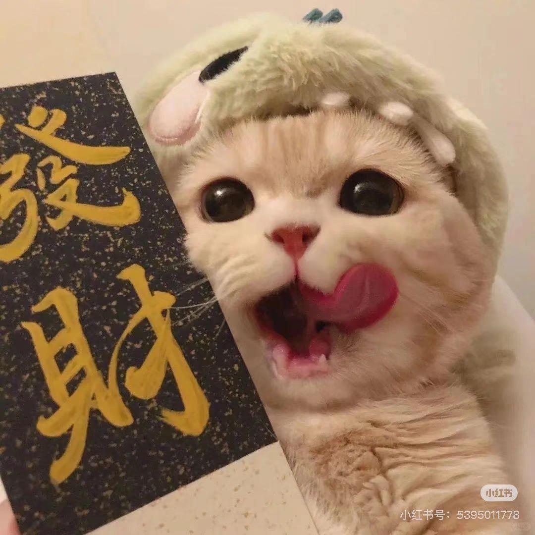 解压DIY潮玩