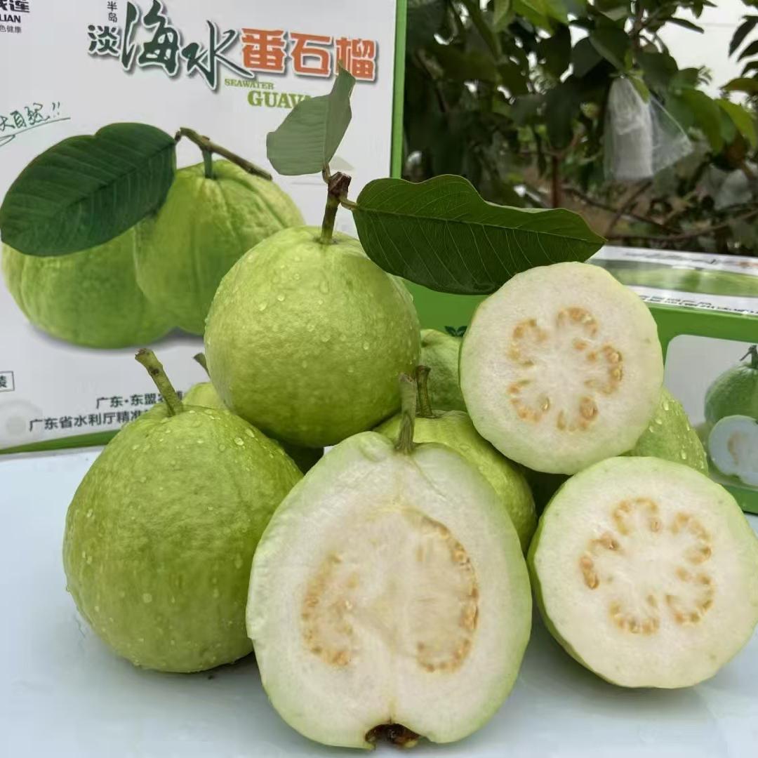 茂莲石榴