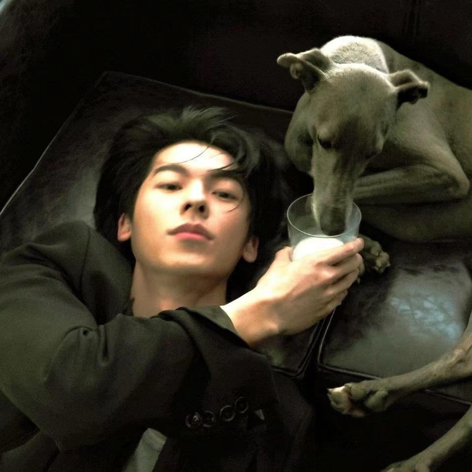 Follow如愿已至