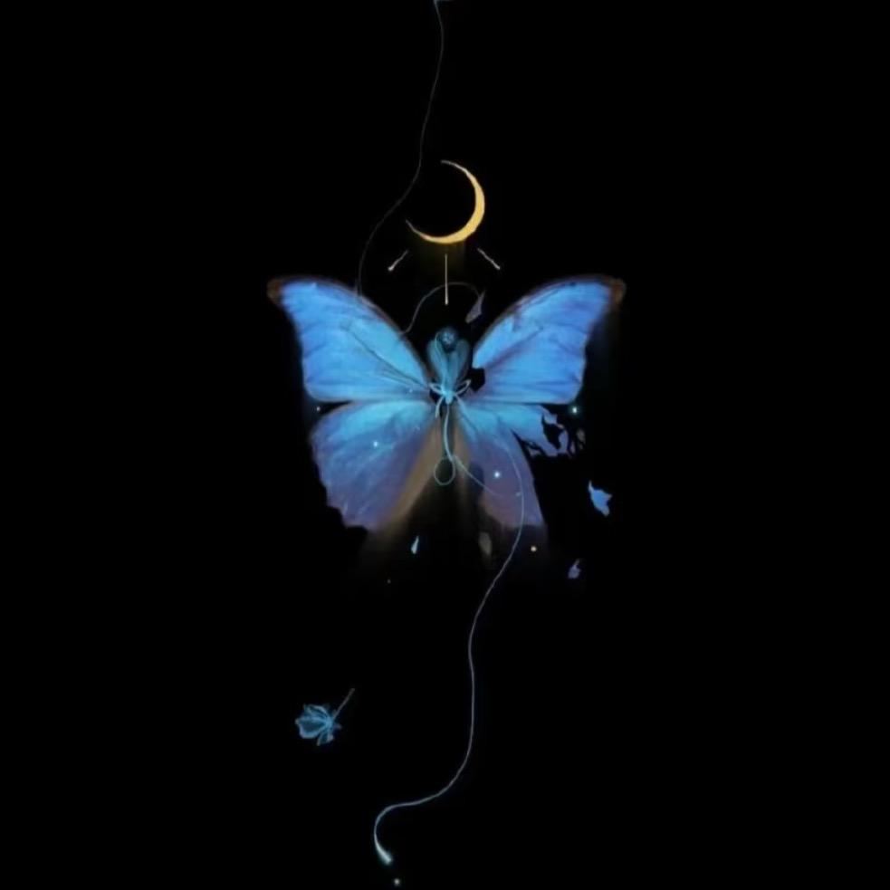妍妍妍🦋