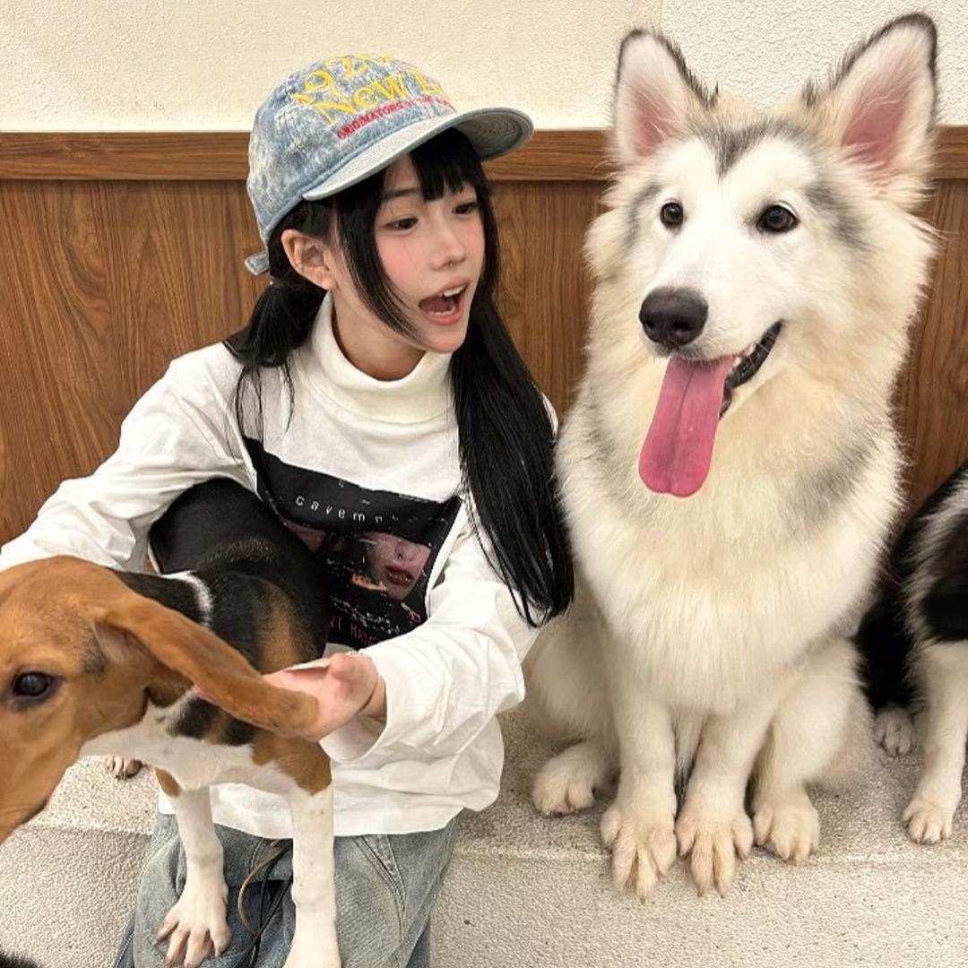 静静