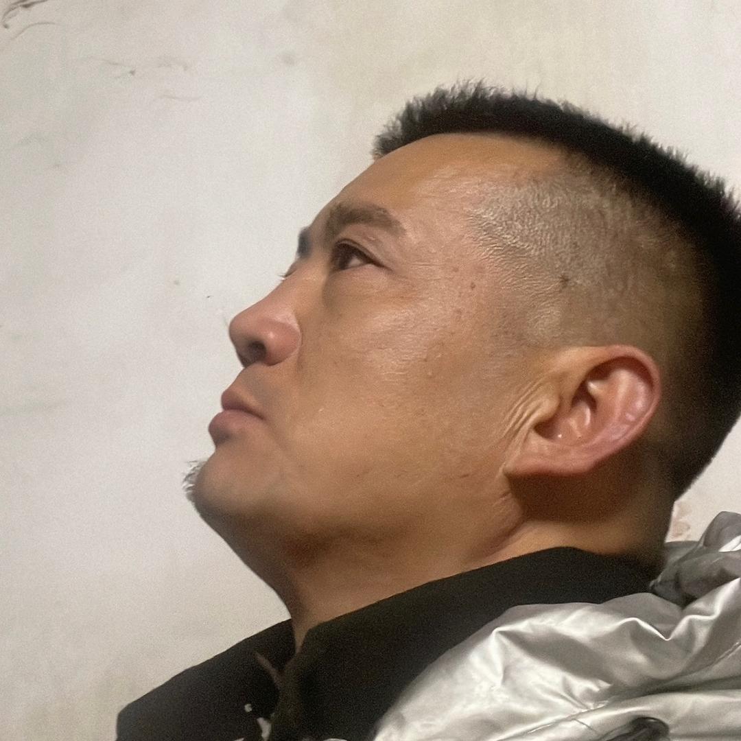 林中鹿