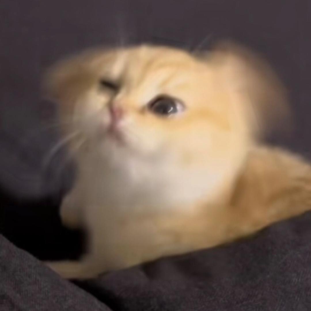 小创意大梦想（暴富🔥）