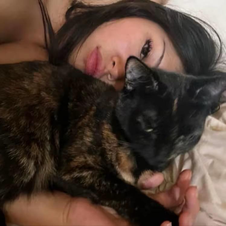 晚安.