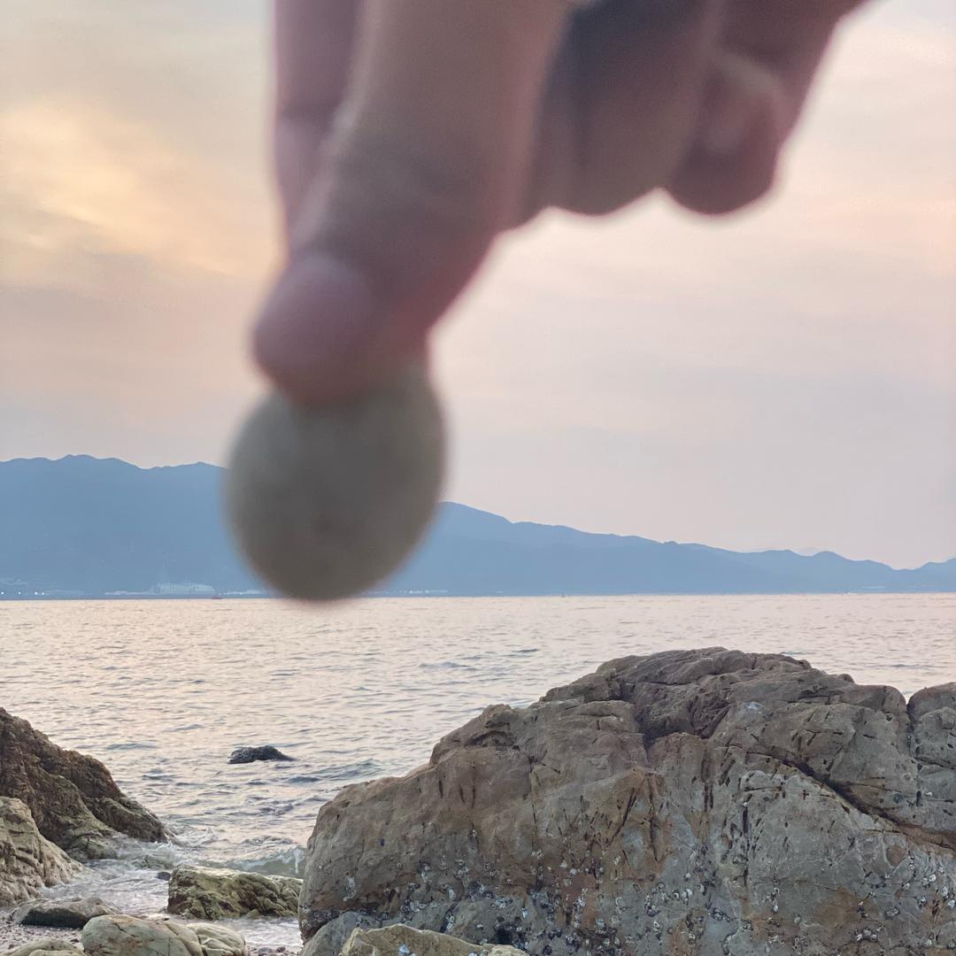 西瓜皮