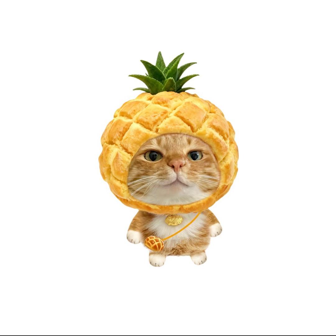 今天