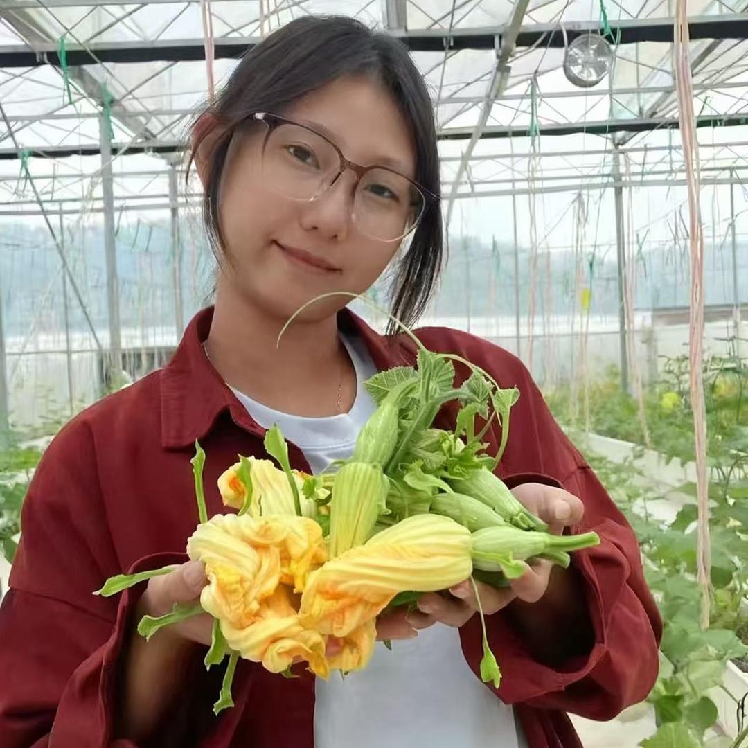 小蜻蜓·南瓜Bu袭班