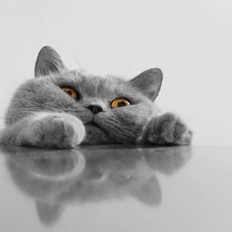 孟婆卖萌不卖汤女士