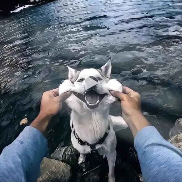 得梦为鱼