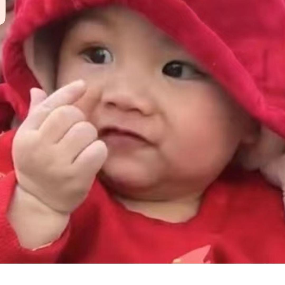 网表