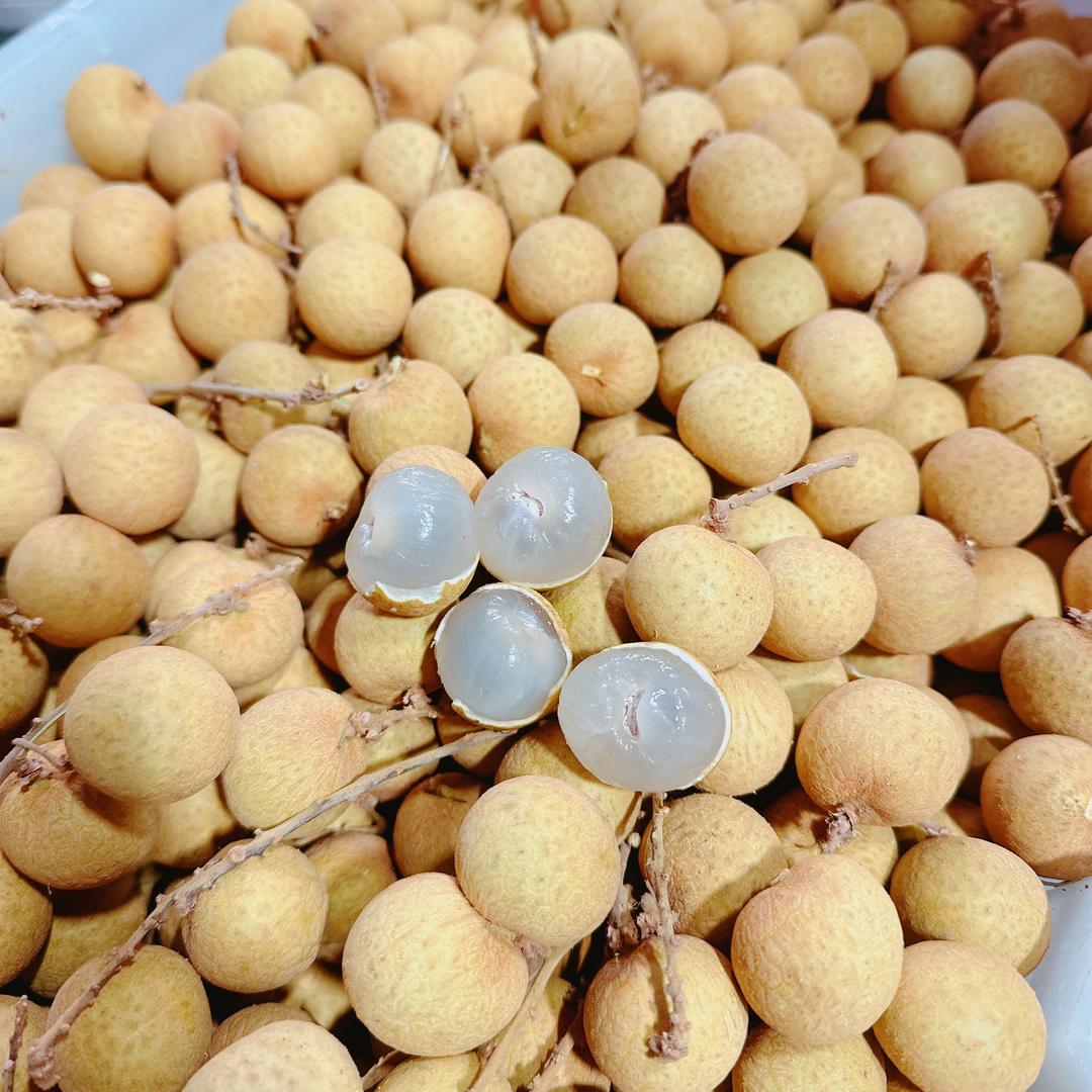 四川蒙阳卖果儿