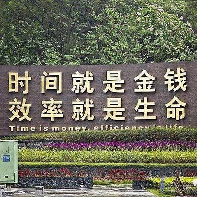 百薇星AI读书会XOKi1888