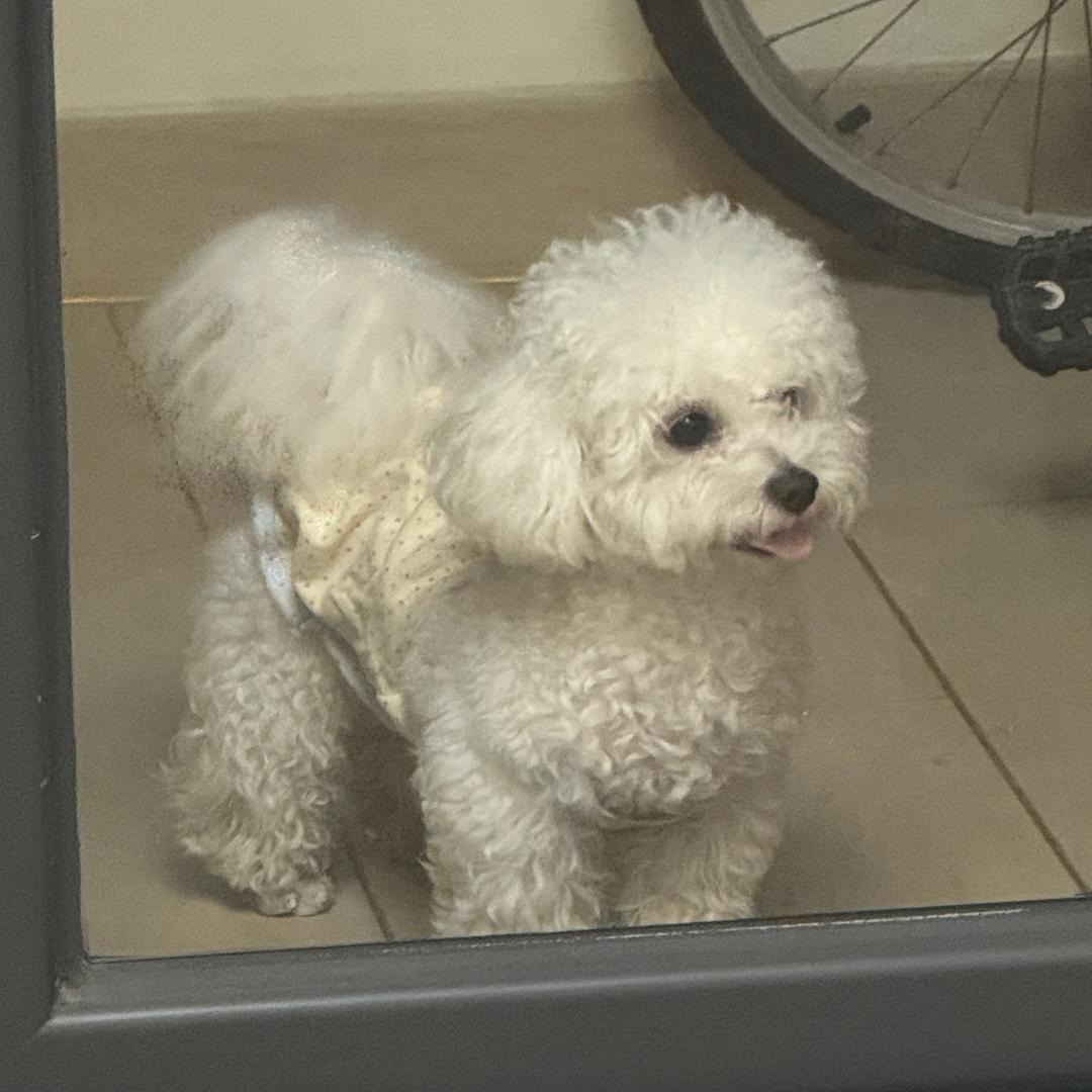 发财日记📔